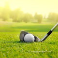 Prix ​​de l&#39;herbe de tapis pour le terrain de golf